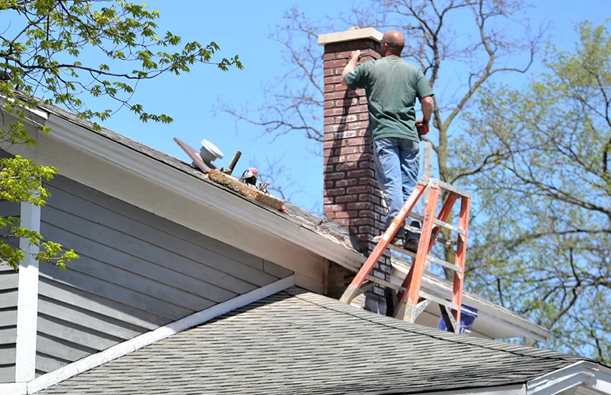 Chimney & Fireplace Inspections Services in Silver Spring, MD